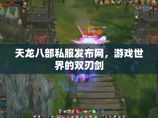 天龙八部私服发布网，游戏世界的双刃剑