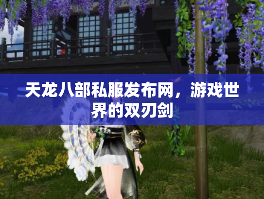 天龙八部私服发布网，游戏世界的双刃剑