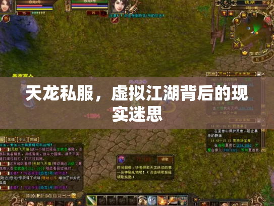 天龙私服，虚拟江湖背后的现实迷思