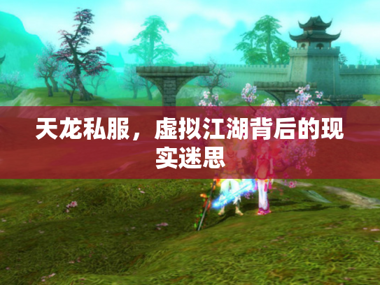 天龙私服，虚拟江湖背后的现实迷思