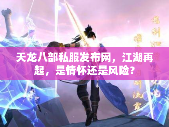 天龙八部私服发布网，江湖再起，是情怀还是风险？