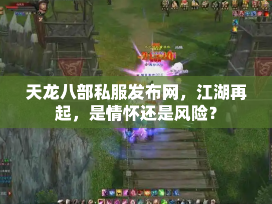 天龙八部私服发布网，江湖再起，是情怀还是风险？