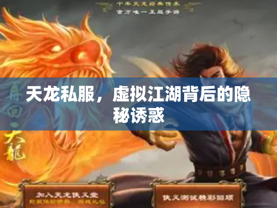 天龙私服，虚拟江湖背后的隐秘诱惑