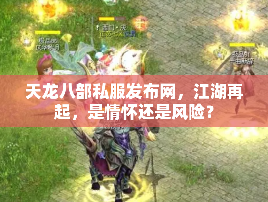 天龙八部私服发布网，江湖再起，是情怀还是风险？