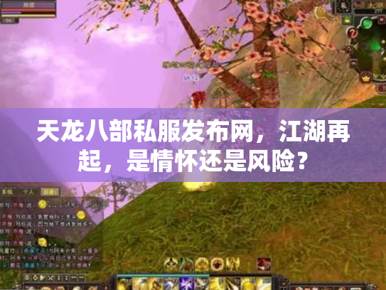天龙八部私服发布网，江湖再起，是情怀还是风险？