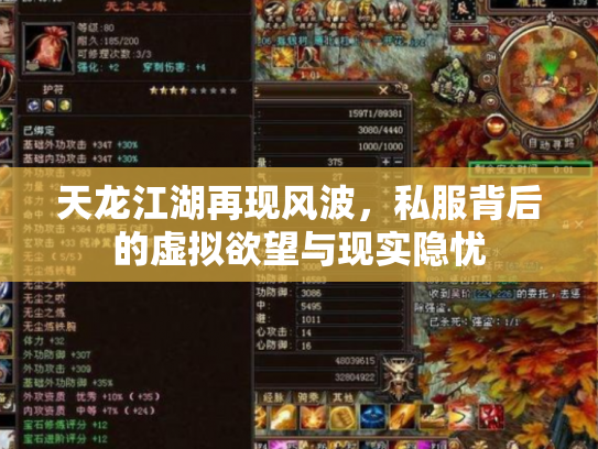 天龙江湖再现风波，私服背后的虚拟欲望与现实隐忧