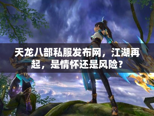 天龙八部私服发布网，江湖再起，是情怀还是风险？
