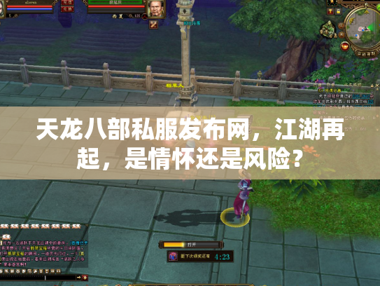 天龙八部私服发布网，江湖再起，是情怀还是风险？
