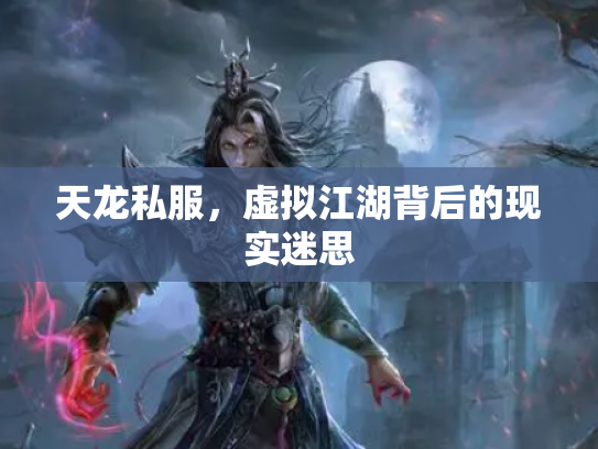 天龙私服，虚拟江湖背后的现实迷思
