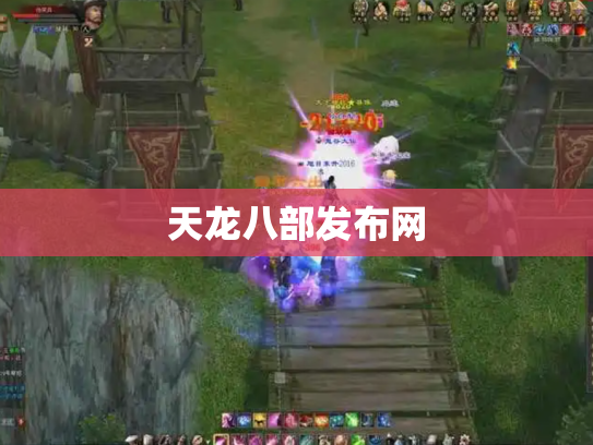 天龙八部发布网
