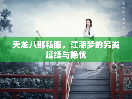 天龙八部私服，江湖梦的另类延续与隐忧