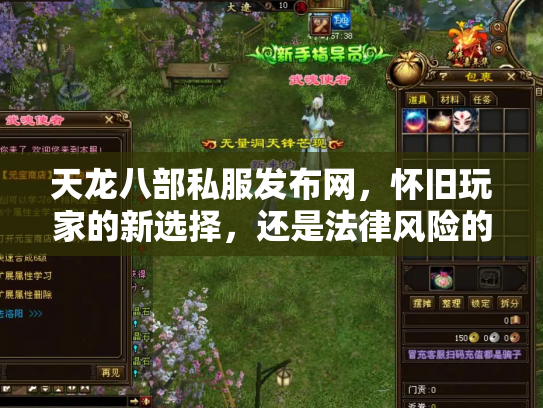 天龙八部私服发布网，怀旧玩家的新选择，还是法律风险的高压线？