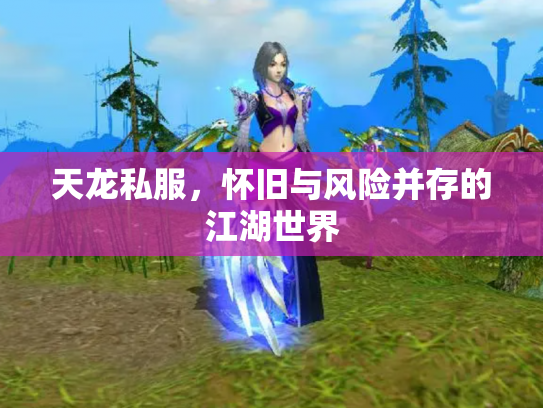 天龙私服，怀旧与风险并存的江湖世界