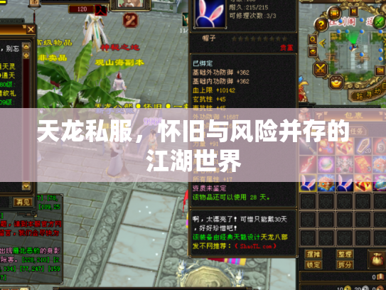 天龙私服，怀旧与风险并存的江湖世界