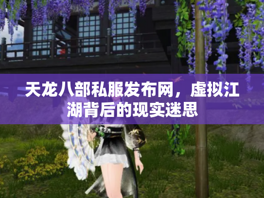 天龙八部私服发布网，虚拟江湖背后的现实迷思
