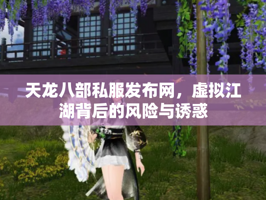 天龙八部私服发布网，虚拟江湖背后的风险与诱惑