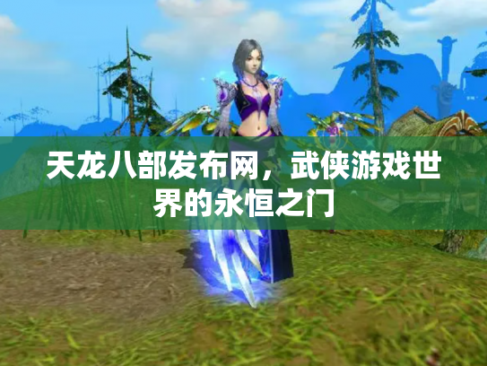 天龙八部发布网，武侠游戏世界的永恒之门