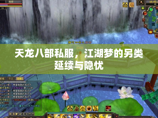 天龙八部私服，江湖梦的另类延续与隐忧