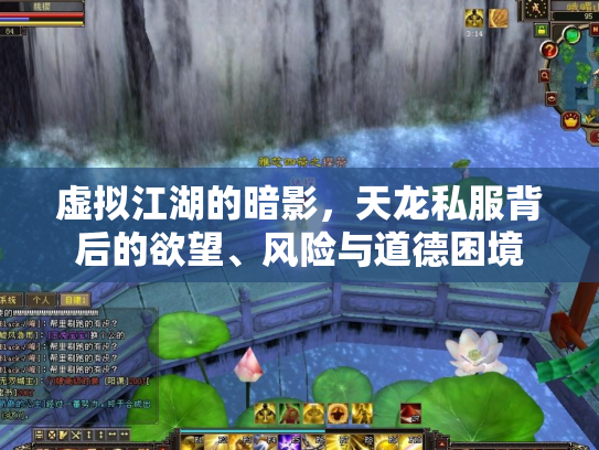 虚拟江湖的暗影，天龙私服背后的欲望、风险与道德困境
