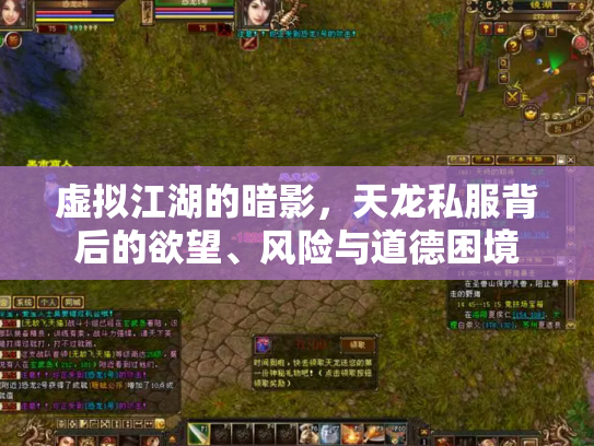 虚拟江湖的暗影，天龙私服背后的欲望、风险与道德困境