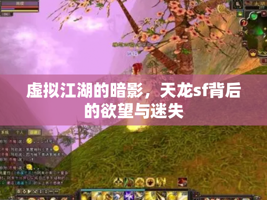 虚拟江湖的暗影，天龙sf背后的欲望与迷失