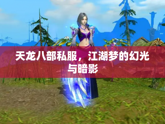 天龙八部私服，江湖梦的幻光与暗影