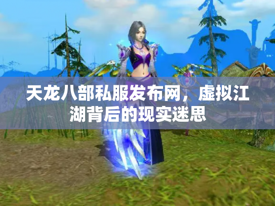 天龙八部私服发布网，虚拟江湖背后的现实迷思