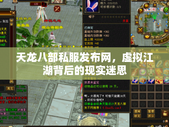 天龙八部私服发布网，虚拟江湖背后的现实迷思