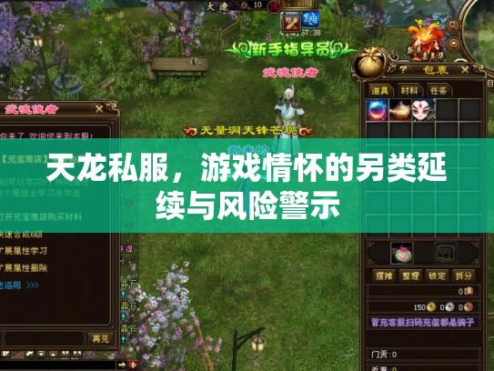 天龙私服，游戏情怀的另类延续与风险警示