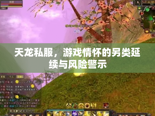 天龙私服，游戏情怀的另类延续与风险警示