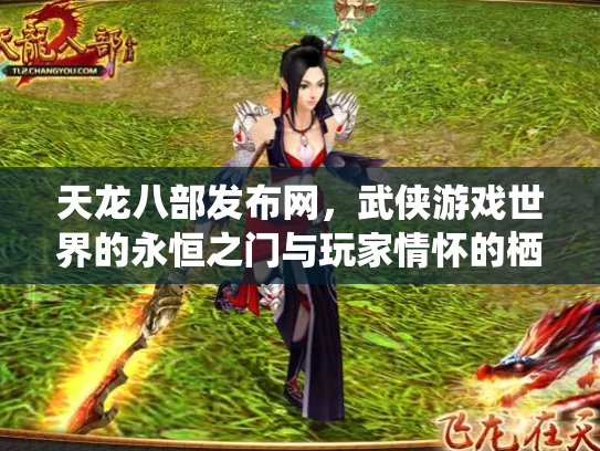 天龙八部发布网，武侠游戏世界的永恒之门与玩家情怀的栖息地