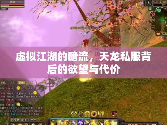 虚拟江湖的暗流，天龙私服背后的欲望与代价