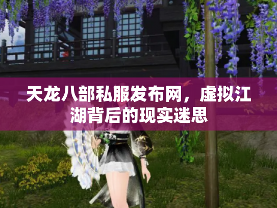天龙八部私服发布网，虚拟江湖背后的现实迷思