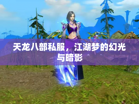 天龙八部私服，江湖梦的幻光与暗影