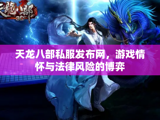 天龙八部私服发布网，游戏情怀与法律风险的博弈