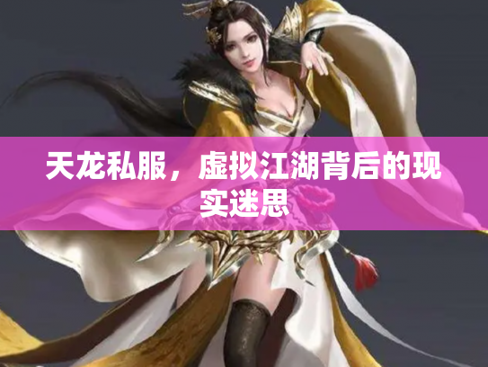 天龙私服，虚拟江湖背后的现实迷思