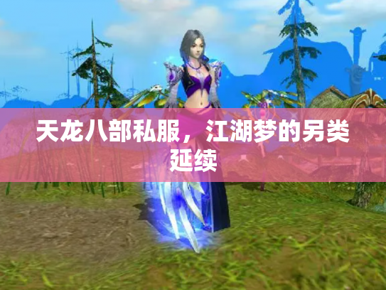 天龙八部私服，江湖梦的另类延续