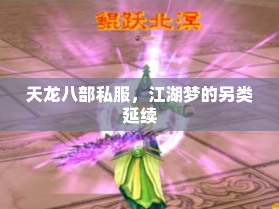 天龙八部私服，江湖梦的另类延续