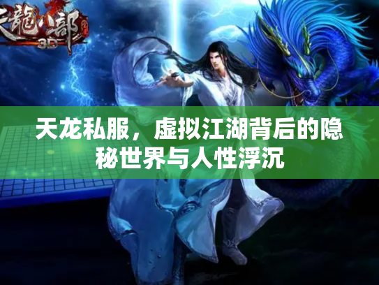 天龙私服，虚拟江湖背后的隐秘世界与人性浮沉