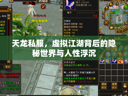 天龙私服，虚拟江湖背后的隐秘世界与人性浮沉