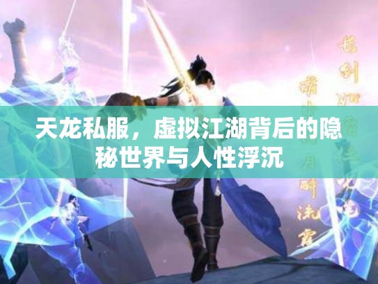 天龙私服，虚拟江湖背后的隐秘世界与人性浮沉