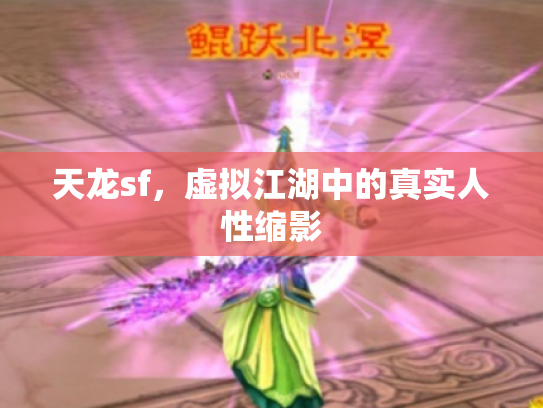 天龙sf，虚拟江湖中的真实人性缩影