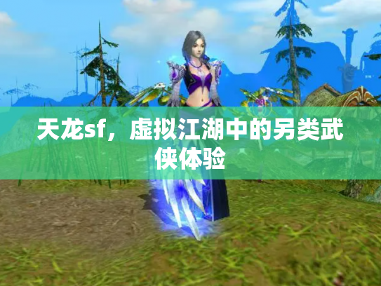 天龙sf，虚拟江湖中的另类武侠体验