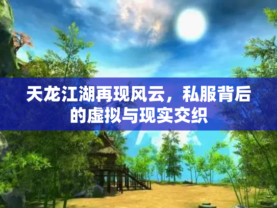 天龙江湖再现风云，私服背后的虚拟与现实交织