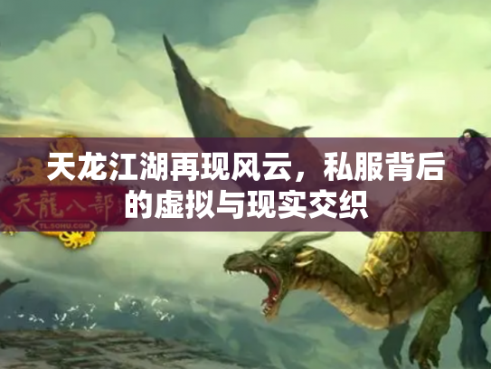 天龙江湖再现风云，私服背后的虚拟与现实交织