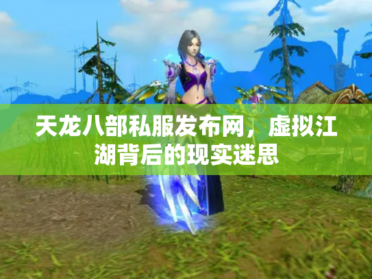 天龙八部私服发布网，虚拟江湖背后的现实迷思