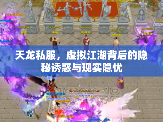 天龙私服，虚拟江湖背后的隐秘诱惑与现实隐忧