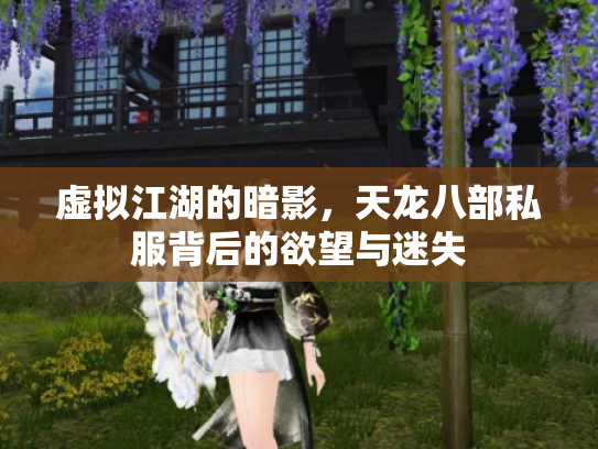 虚拟江湖的暗影，天龙八部私服背后的欲望与迷失