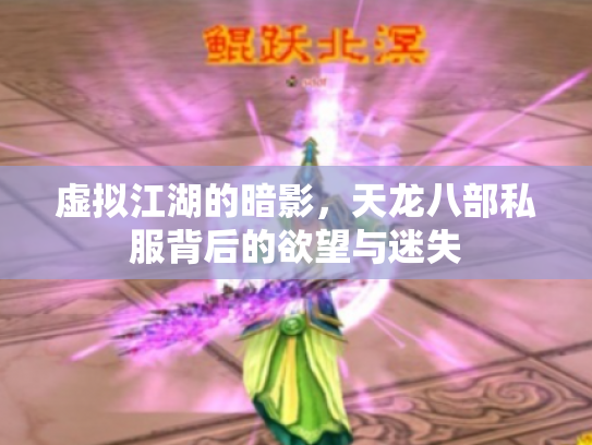 虚拟江湖的暗影，天龙八部私服背后的欲望与迷失