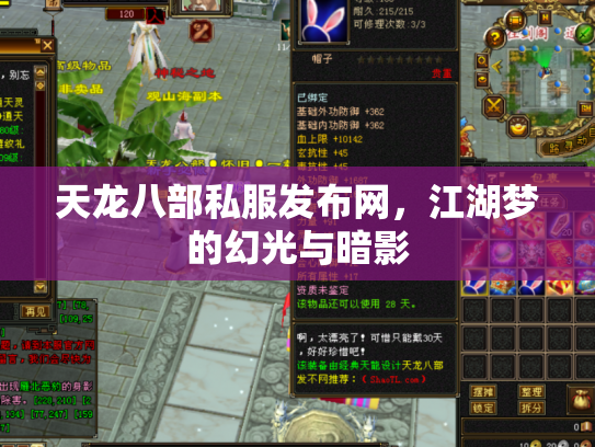 天龙八部私服发布网，江湖梦的幻光与暗影